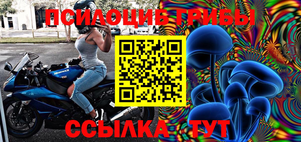 Галлюциногенные грибы Magic Shrooms Великий Устюг