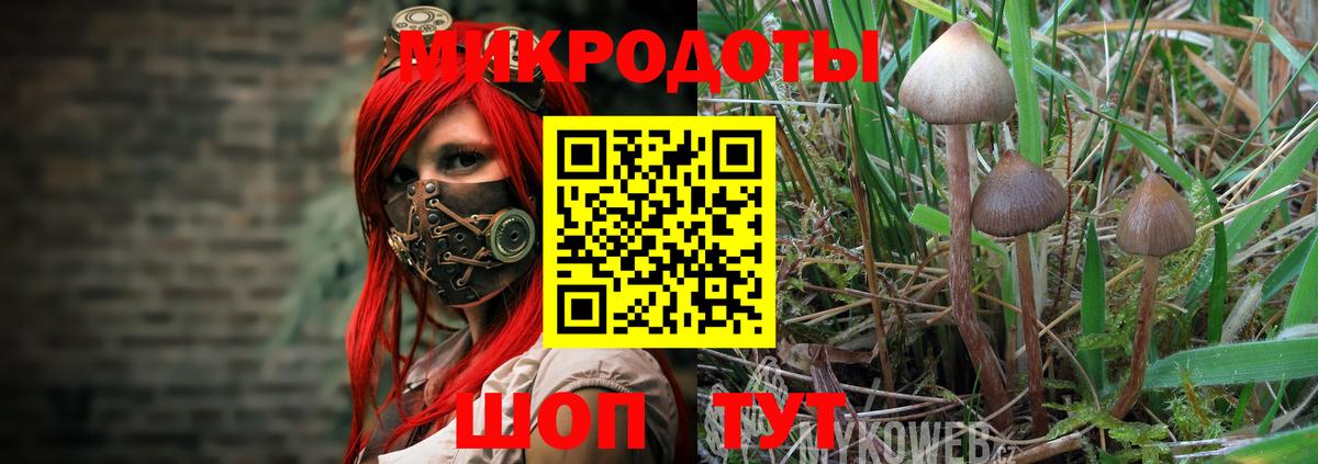 Псилоцибиновые грибы прущие грибы  Псилоцибиновые грибы Cubensis  Великий Устюг  Вход с VPN 